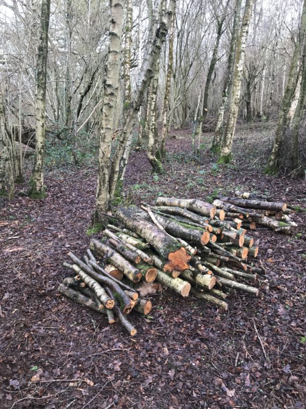 Honeysuckle Wood Blog Honeysuckle Wood